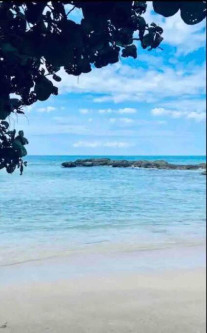 Natty'S Cozy Beach House In Hanover Jamaica Лусеа Экстерьер фото