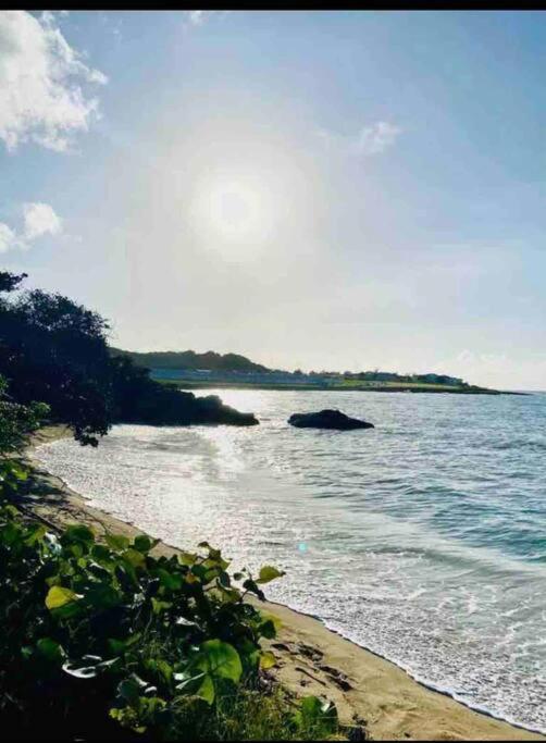 Natty'S Cozy Beach House In Hanover Jamaica Лусеа Экстерьер фото